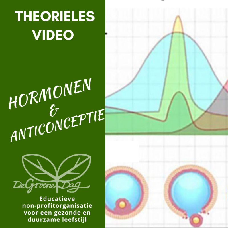 Video Theorieles Hormonen & anticonceptie