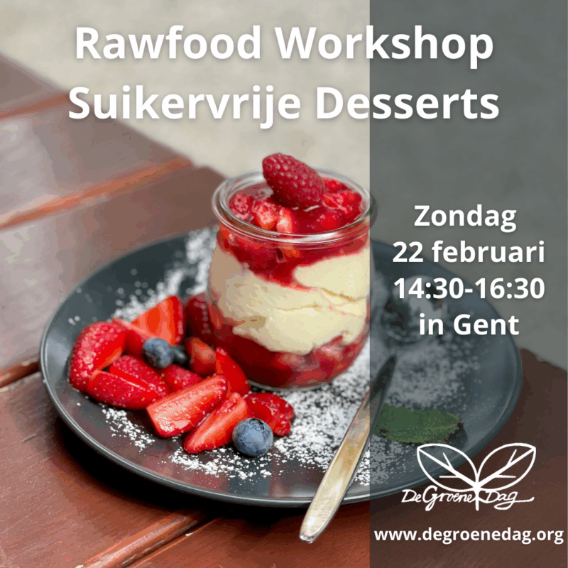 Rawfood Workshop Suikervrije Desserts