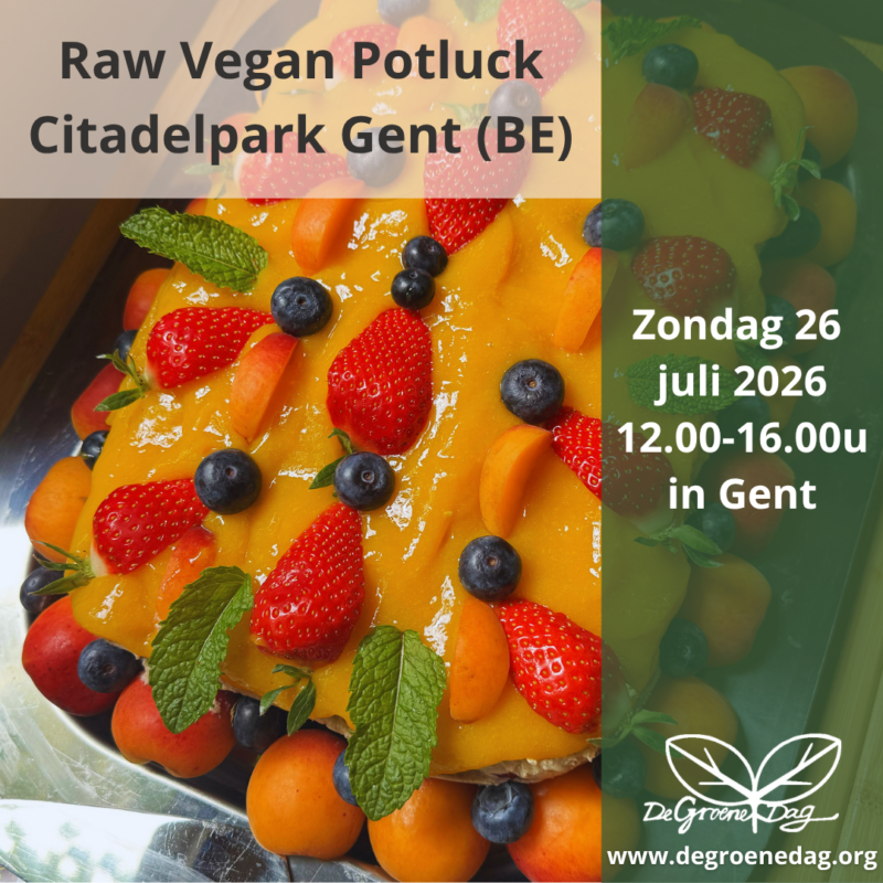 Raw Vegan Potluck Gent